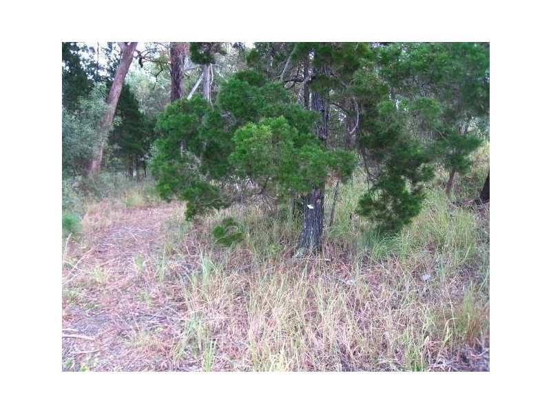 28 Cambridge Road, Russell Island QLD 4184
