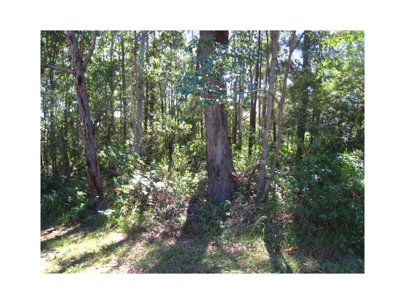 21 OXLEY AVE, Russell Island QLD 4184