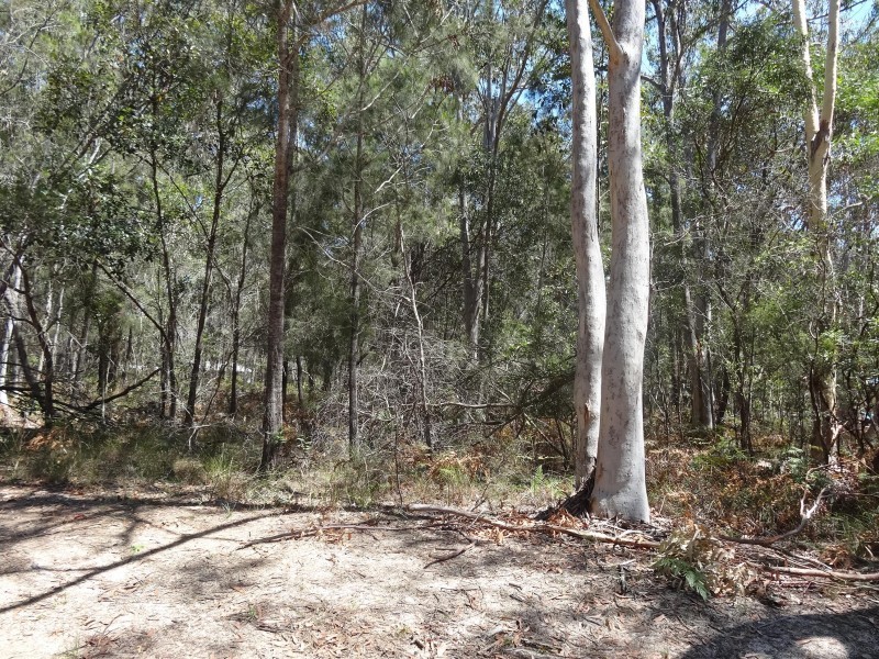 20  DICKENSON DRIVE, Russell Island QLD 4184