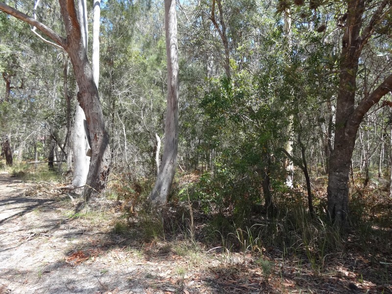 20  DICKENSON DRIVE, Russell Island QLD 4184