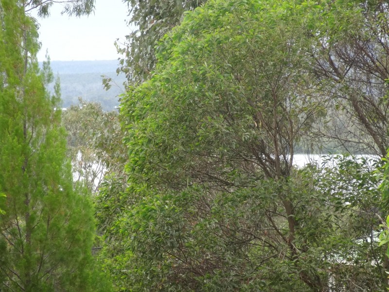 34 MAIN VIEW DRIVE, Russell Island QLD 4184