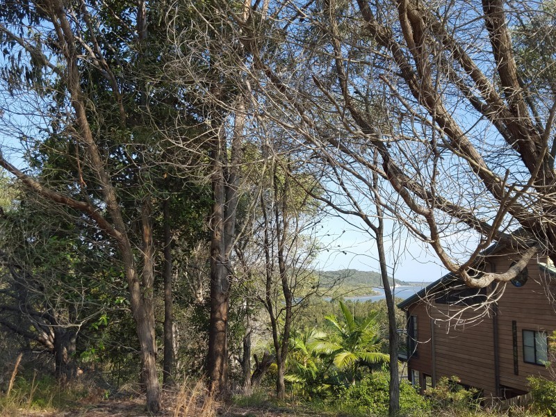 40 Crescent Drive, Russell Island QLD 4184