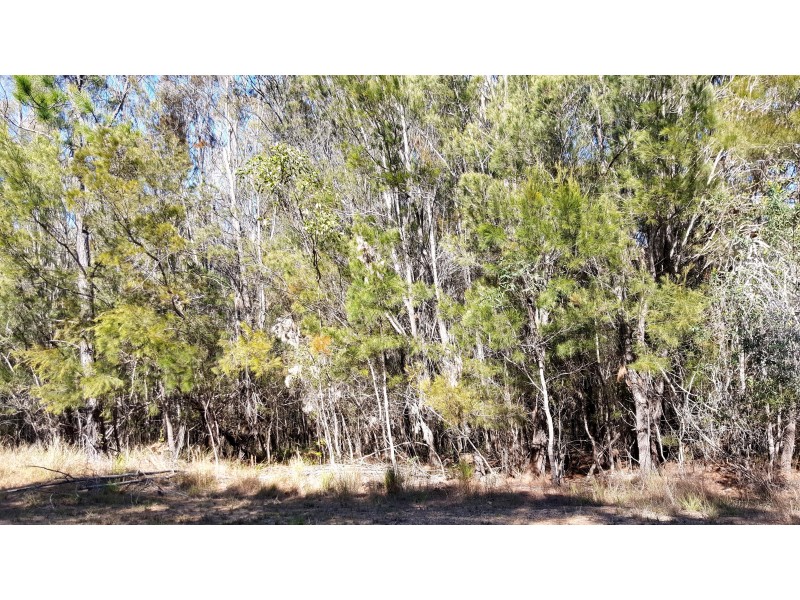 44 Seaward Drive, Russell Island QLD 4184