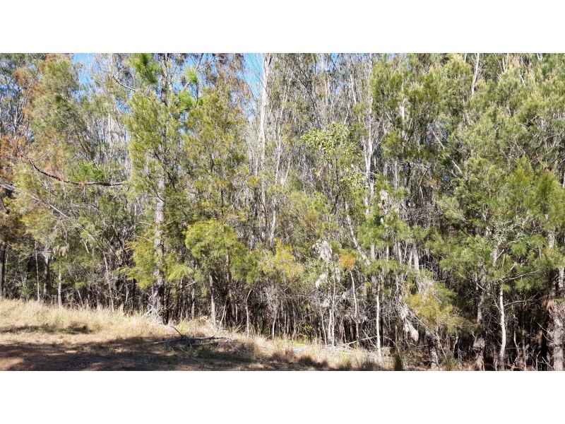 44 Seaward Drive, Russell Island QLD 4184