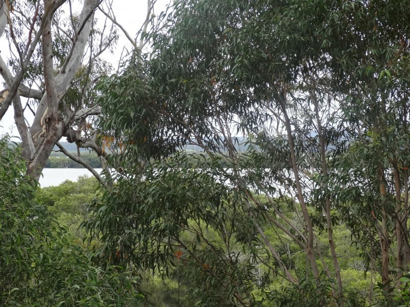 42 Deenya Parade, Russell Island QLD 4184