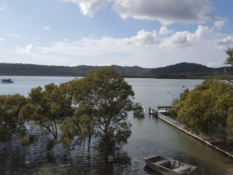 56  Canaipa Point Drive, Russell Island QLD 4184