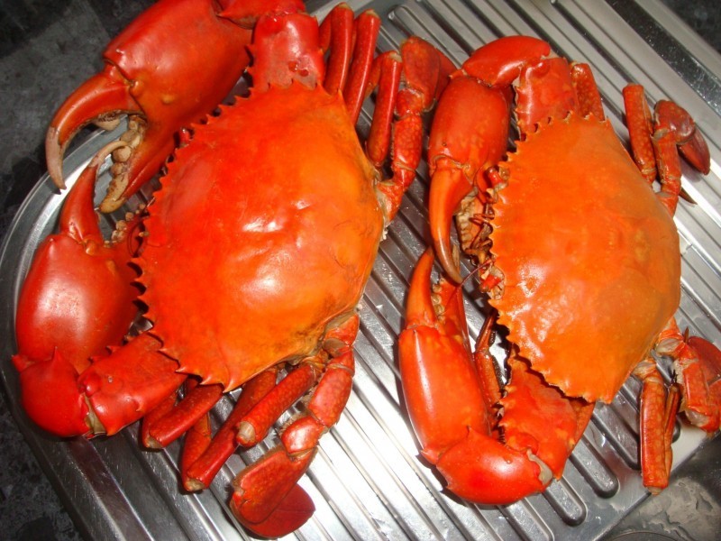 117 Wahine Drive, Russell Island QLD 4184