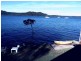 8 Browning St, Russell Island QLD 4184