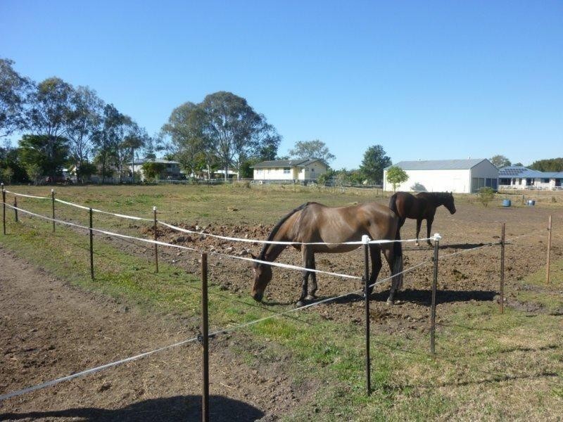 81 Bremen Street, Hemmant QLD 4174