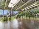 51 Foch Street, Wynnum West QLD 4178