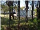 95 Midgen Street, Moreton Island QLD 4025