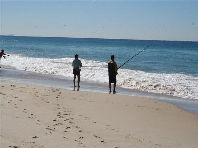 72 Goondool Street, Kooringal QLD 4025