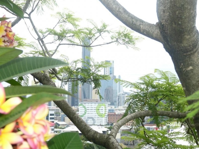 11 Cintra Road, Bowen Hills QLD 4006