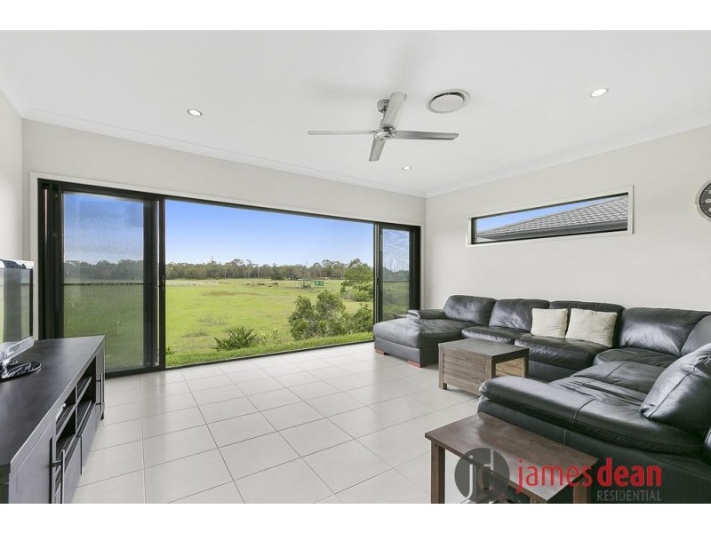 14 Vera Place, Tingalpa QLD 4173