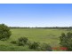 14 Vera Place, Tingalpa QLD 4173