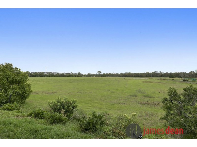 14 Vera Place, Tingalpa QLD 4173