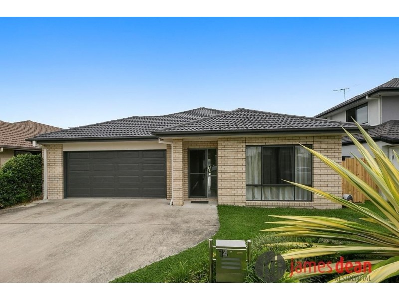 14 Vera Place, Tingalpa QLD 4173