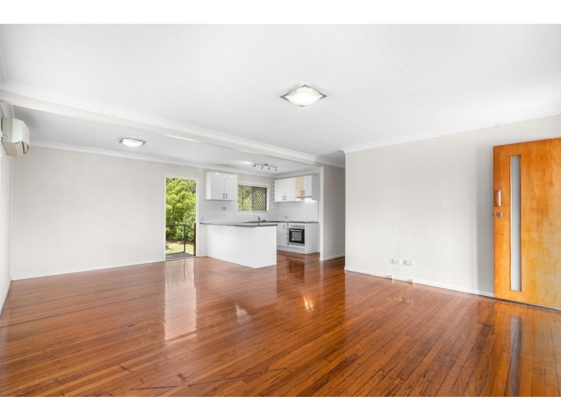 17 Greenslade Street, Tingalpa QLD 4173