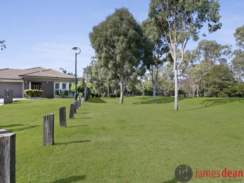 41 Foxwood Circuit, Wakerley QLD 4154