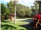 31 Raeburn Street, Manly QLD 4179