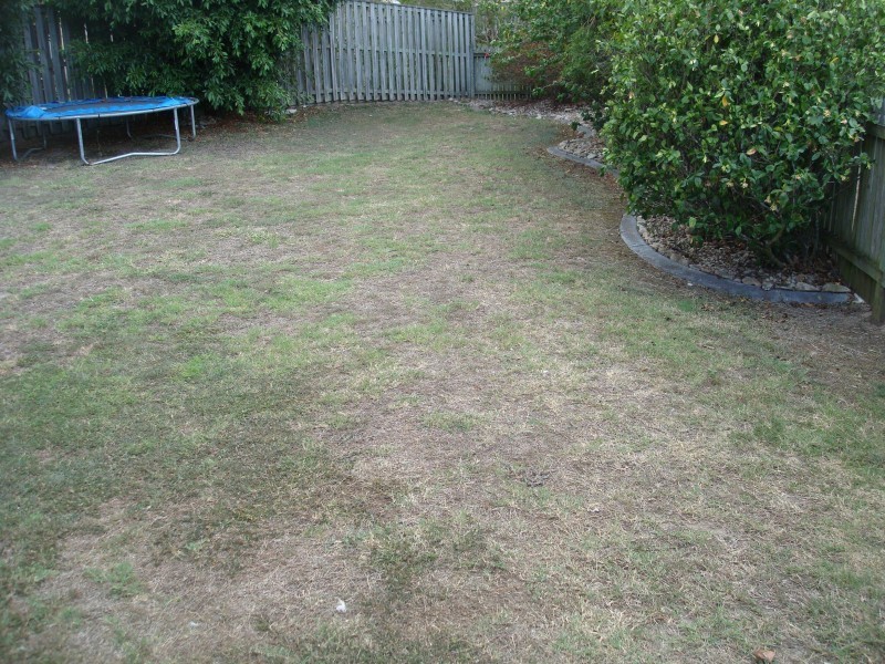 18  Caladium Street, Wakerley QLD 4154