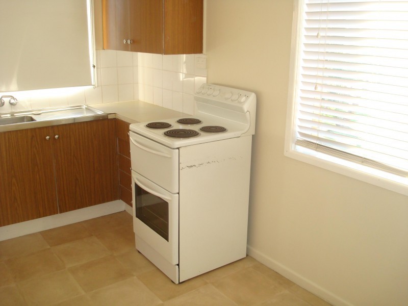 1/3 Treeby Street, Tingalpa QLD 4173