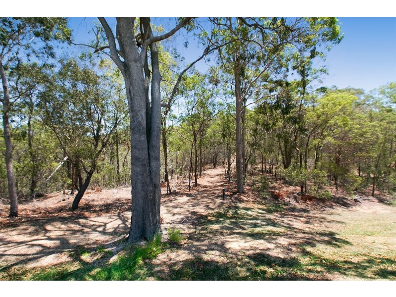 36 Banbury Street, Carina QLD 4152