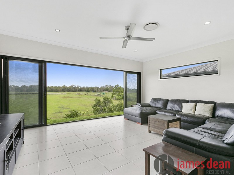 14 Vera Place, Tingalpa QLD 4173