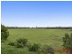 14 Vera Place, Tingalpa QLD 4173