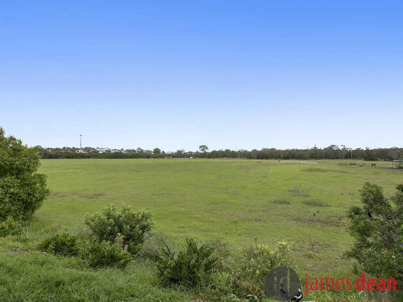 14 Vera Place, Tingalpa QLD 4173