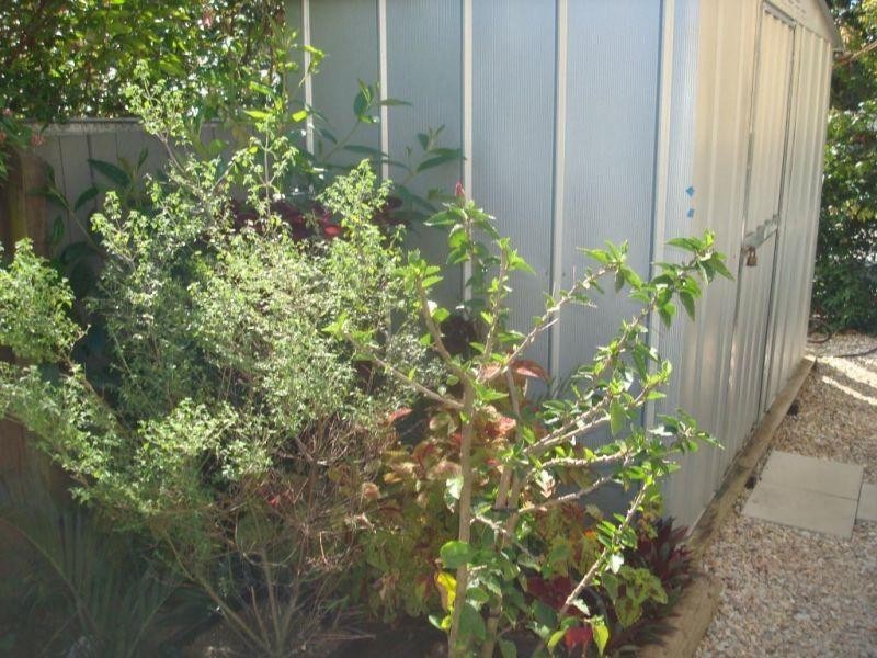 95/1189  Wynnum Road, Cannon Hill QLD 4170