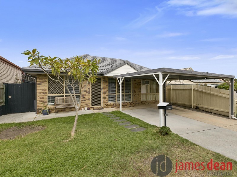 11 Dialba Crescent, Tingalpa QLD 4173