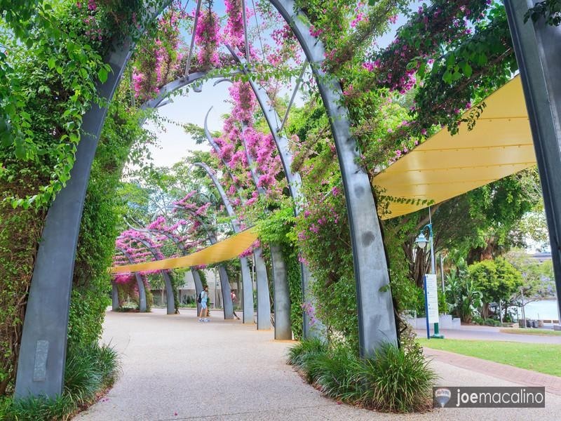 L2/66 Manning St, South Brisbane QLD 4101