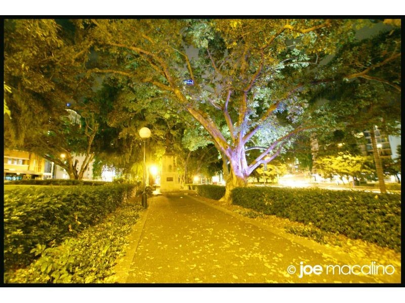 41 Gotha Street, Fortitude Valley QLD 4006