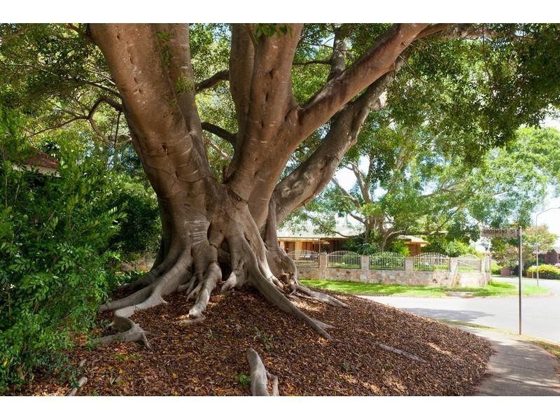 6 Bridgnorth St, Carindale QLD 4152