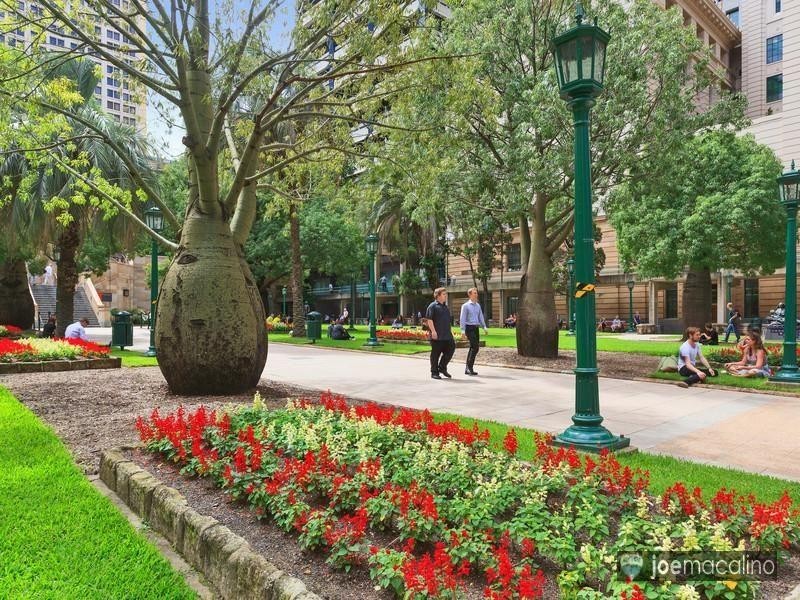 L4/ 255 Ann, Brisbane QLD 4000