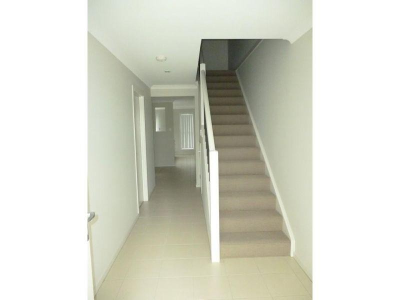 Terrace 135 Arcadia Woods Estate, Pimpama QLD 4209