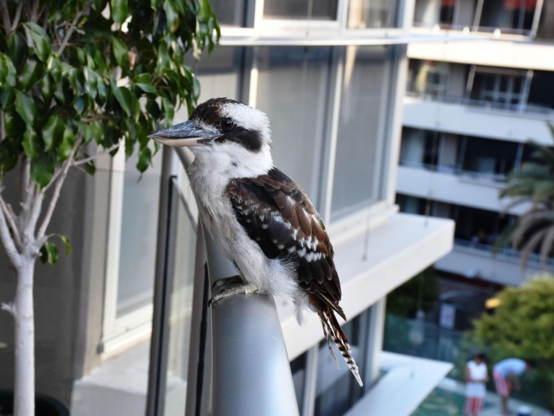 1000 Ann Street, Fortitude Valley QLD 4006