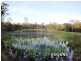 256 Nash Road, Tamaree QLD 4570