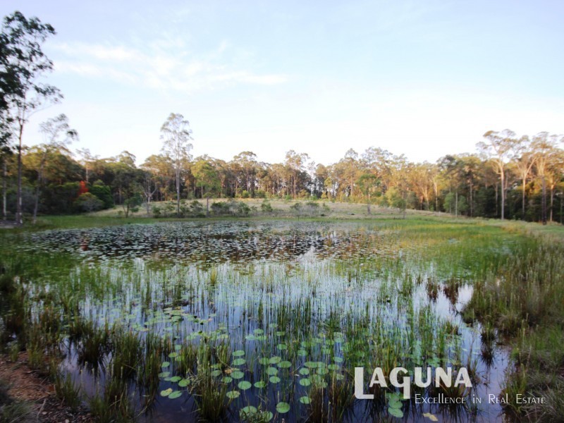 256 Nash Road, Tamaree QLD 4570