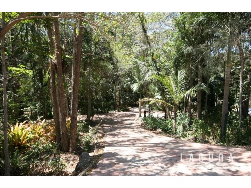 84 Lymburner Road, Pie Creek QLD 4570