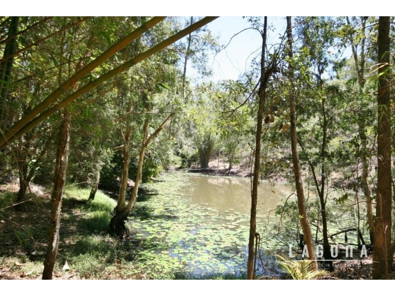 84 Lymburner Road, Pie Creek QLD 4570