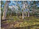 Lot 4 Hoff Road, Wolvi QLD 4570
