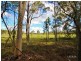 Lot 4 Hoff Road, Wolvi QLD 4570