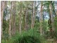 Lot 4 Hoff Road, Wolvi QLD 4570