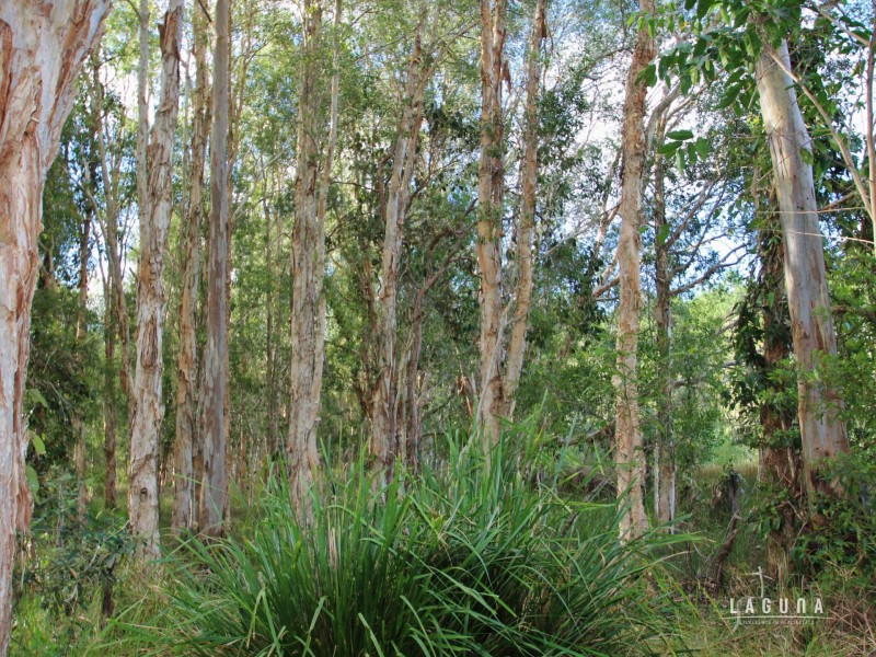 Lot 4 Hoff Road, Wolvi QLD 4570