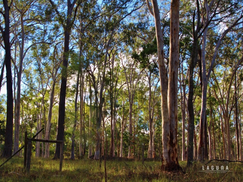 Lot 4 Hoff Road, Wolvi QLD 4570