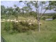 Lot 64 Planted Creek Road, Tansey QLD 4601