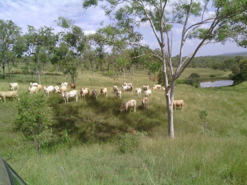 Lot 64 Planted Creek Road, Tansey QLD 4601