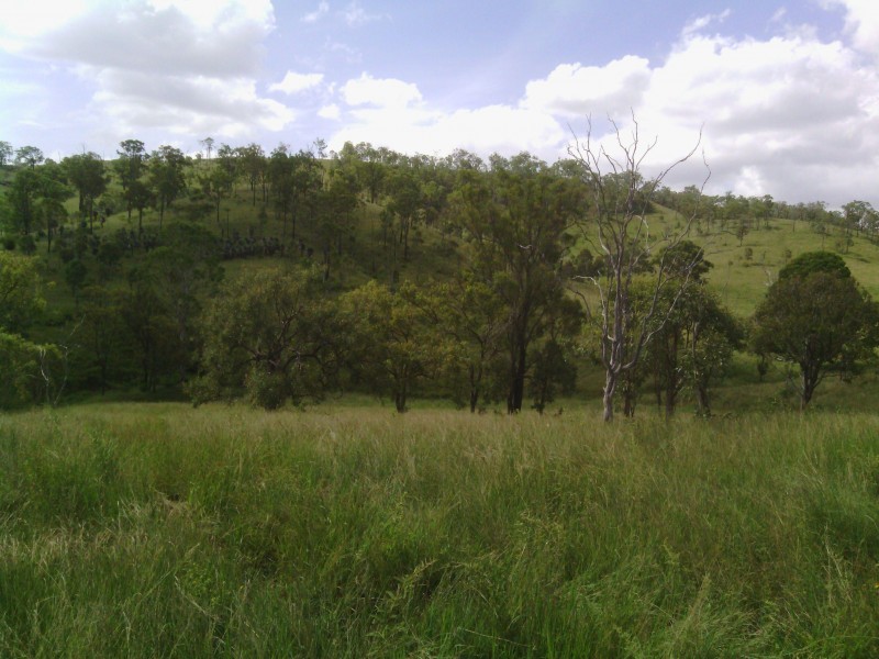 Lot 64 Planted Creek Road, Tansey QLD 4601